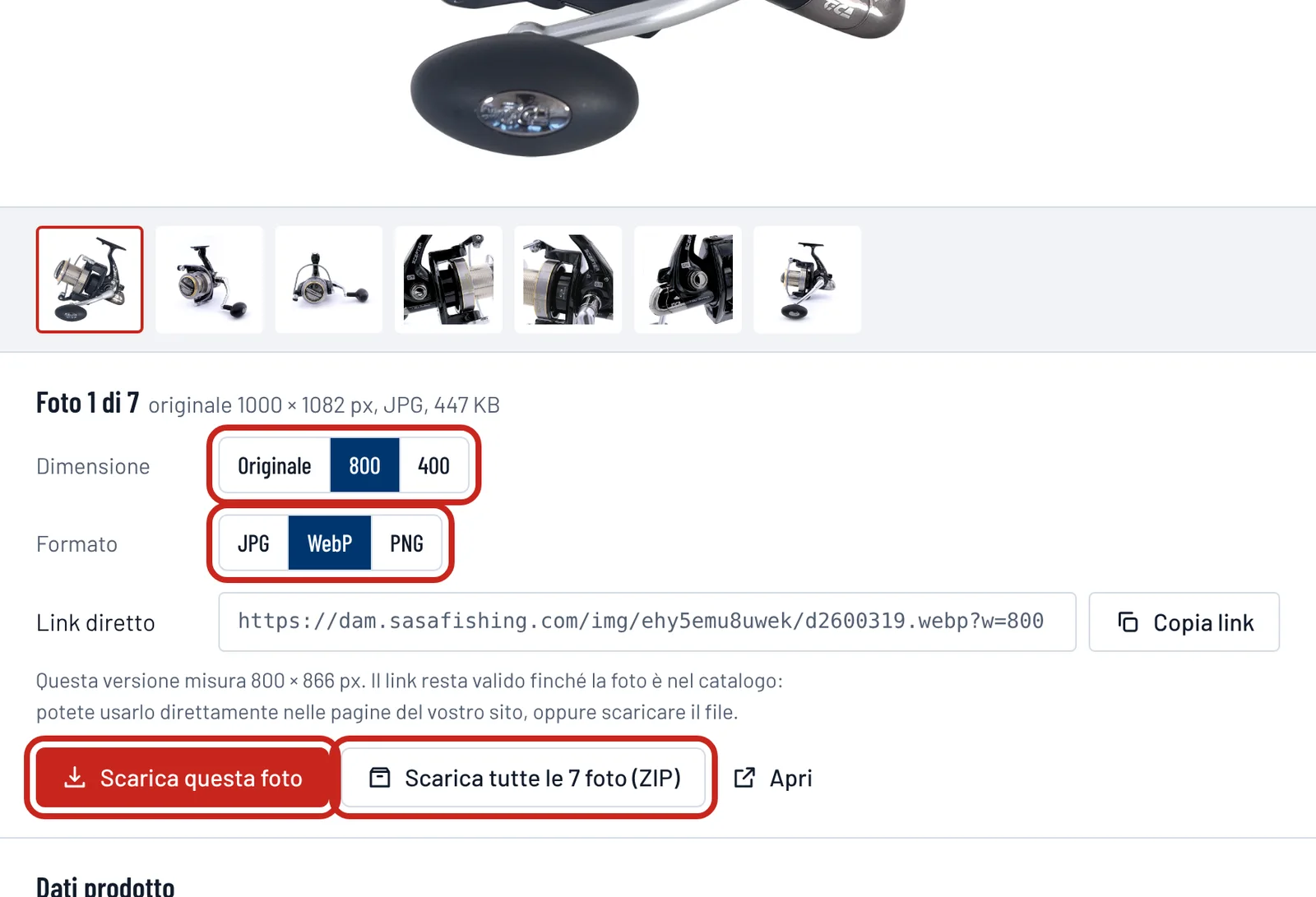 Scelta della dimensione 800 e del formato WebP, e pulsanti per scaricare la foto o tutte le foto