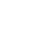 Fly